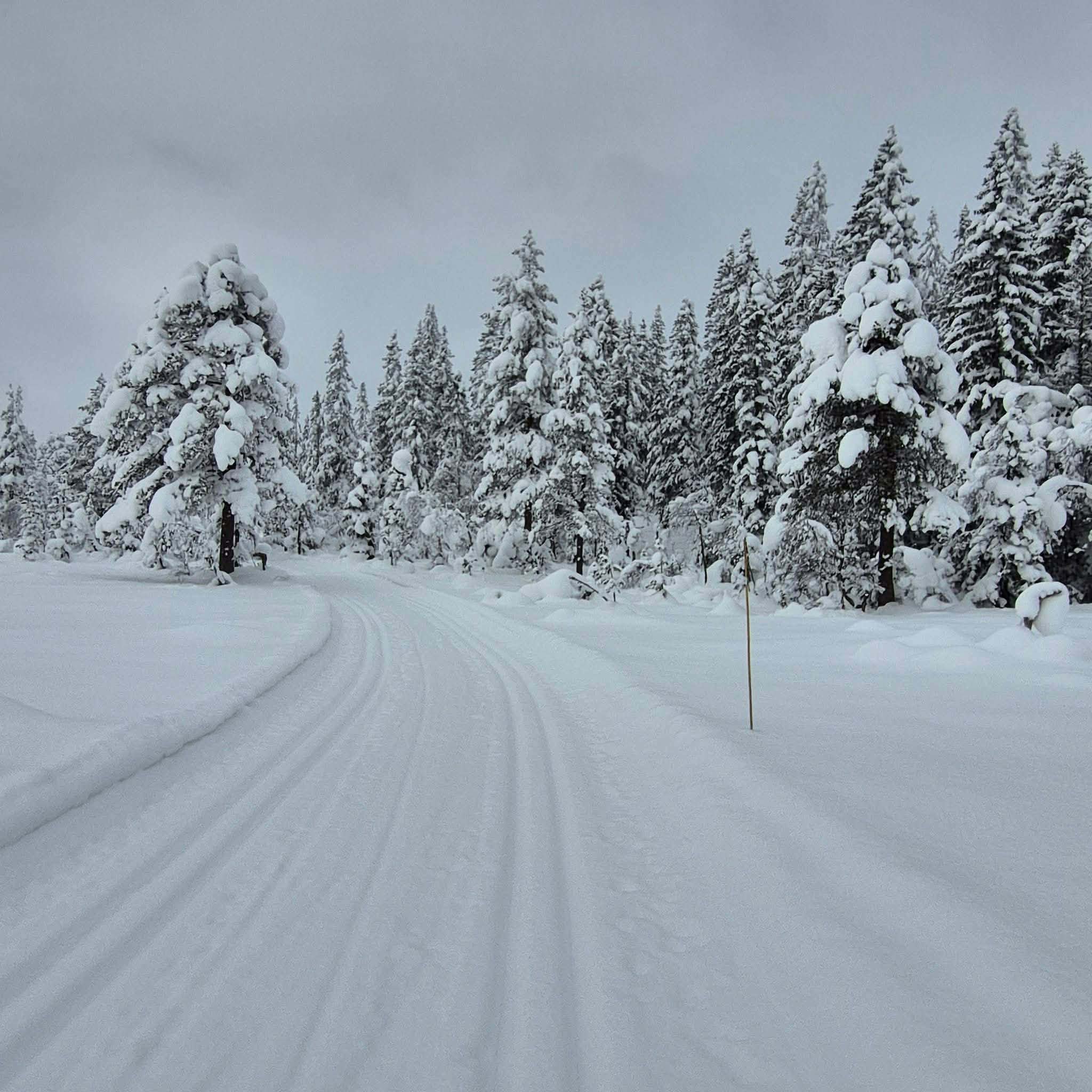 Historisk skisesong i Øverskogen- området: - Aldri lagd trasè av så lite snø
