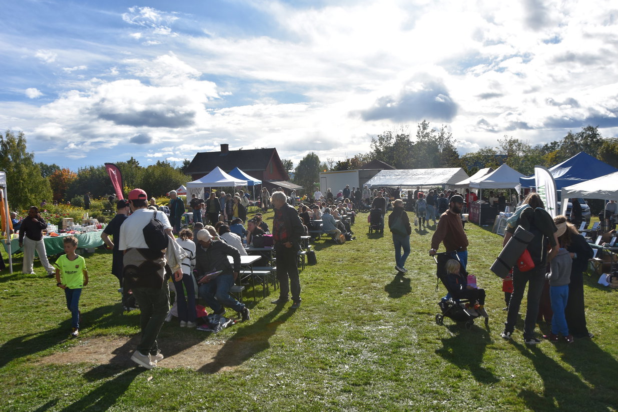 Folkneplefestivalen